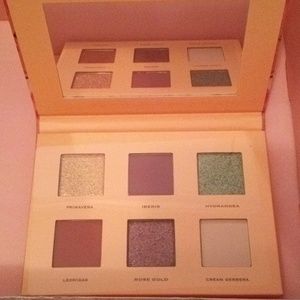 💙NWT colored raine BOTANICAL eye palette